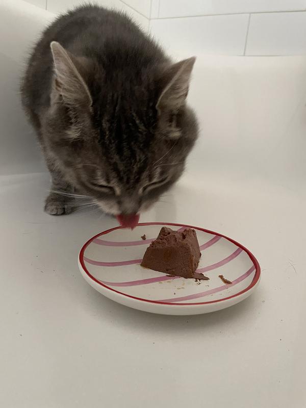 Fish likes to eat in the tub…