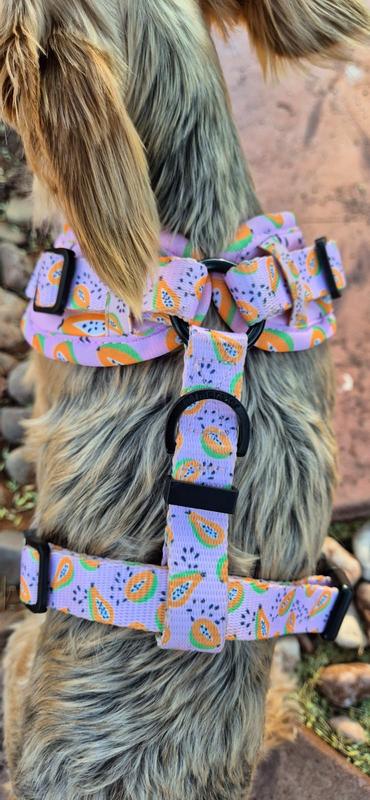 Super easy to put on and take off, clips secure