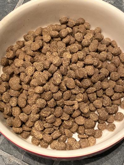 Wysong Anergen Dry Dog & Cat Food