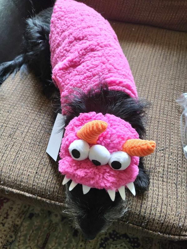 FRISCO Zany Monster Dog & Cat Costume reviews 