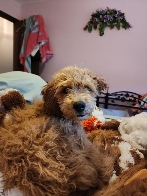 My Tummy feels Better!