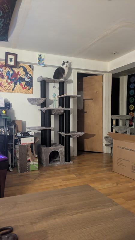 Just showing the actual size of it as it's next to my door way. My cat obviously approves.