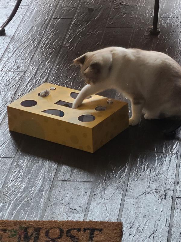 True Zoo Cat Cheeseboard