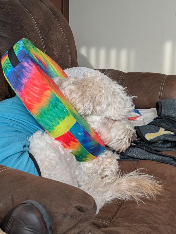 He can still get to his wound, but more challenging than an inflated collar.