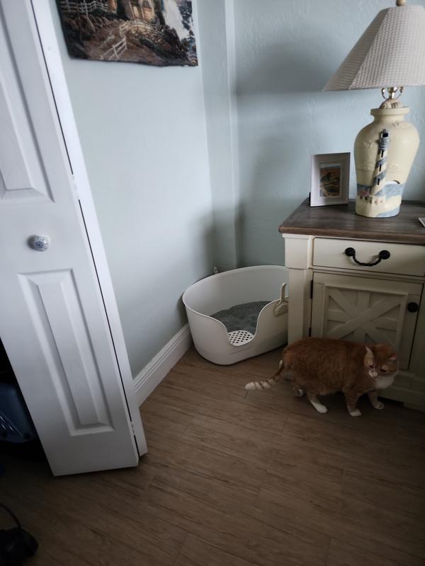 Litter box in closet with clothes best sale