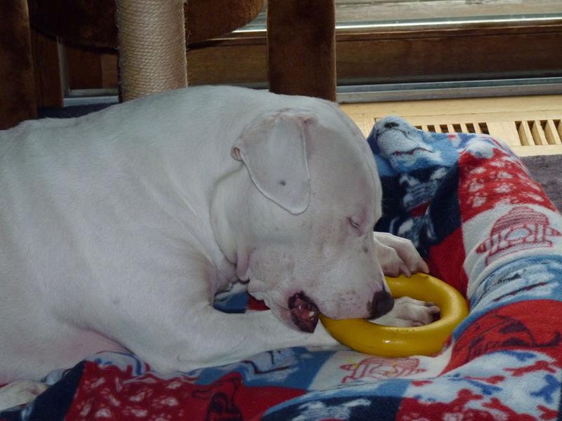 Still having fun with it ~2 years later