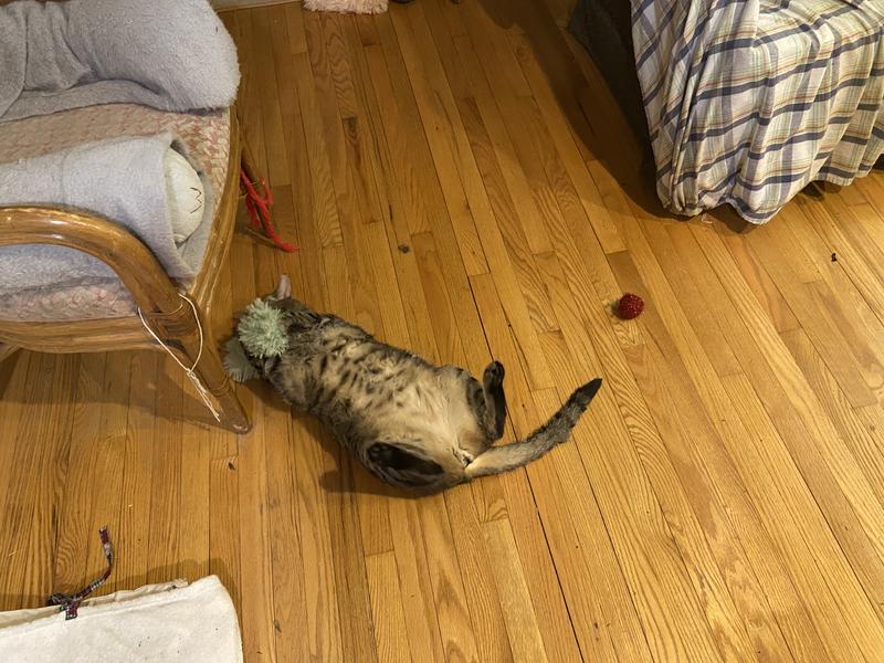 Playtime!