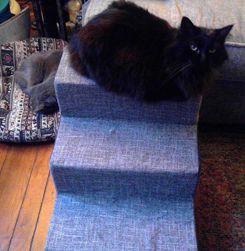 Cats took to it immediately