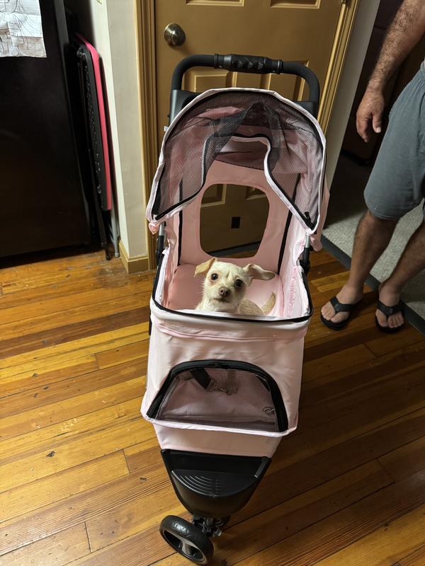 She loves it