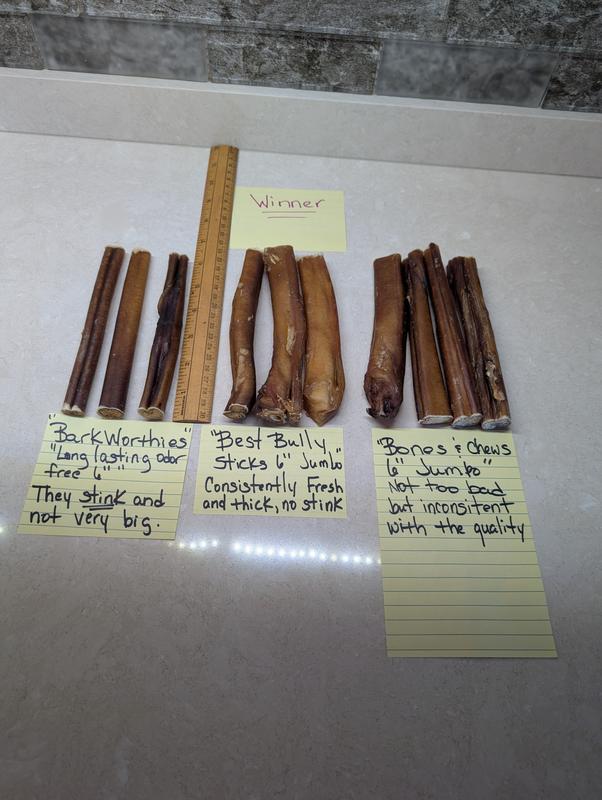 BEST BULLY IS THE BEST