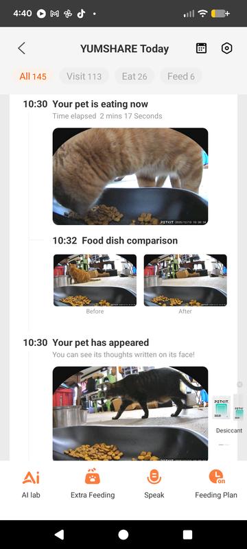 Before and after pictures to show how much they have eaten