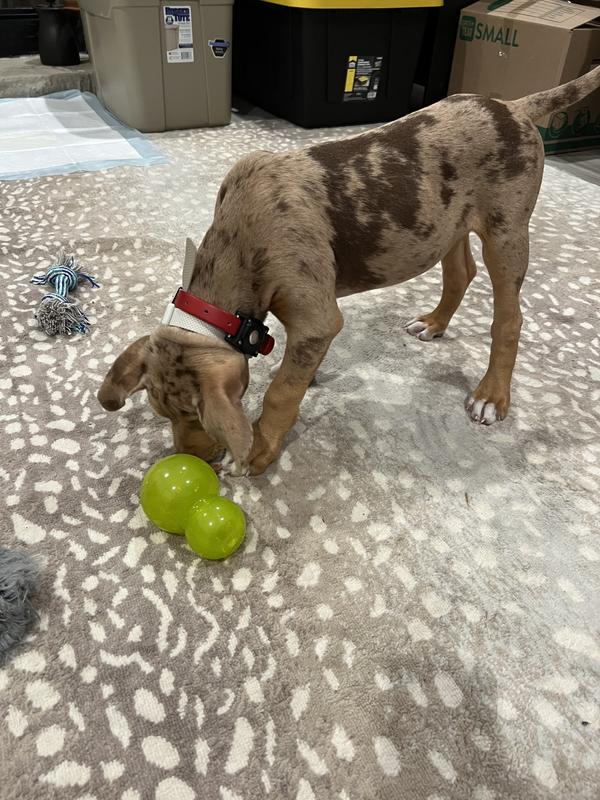 Second roll and they all came tumbling out.