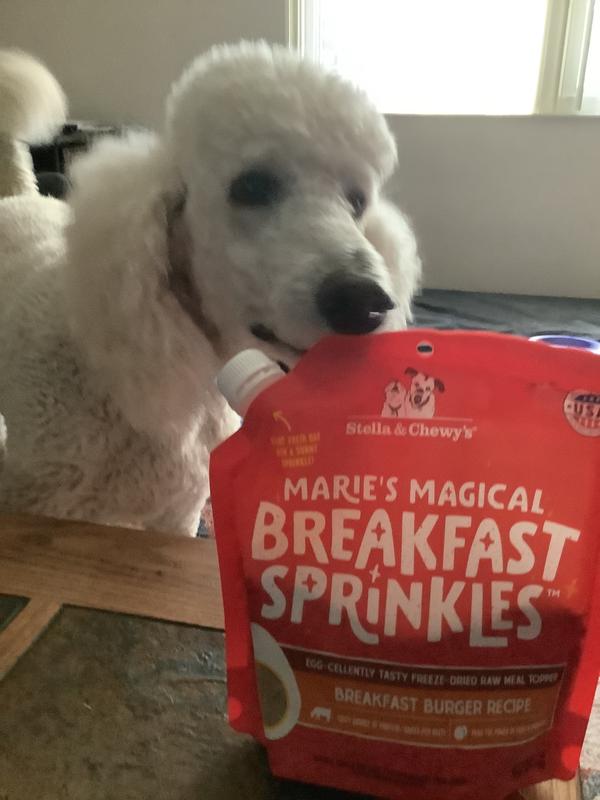 He loves it!