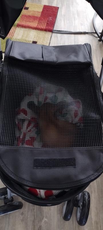 Loves her new stroller