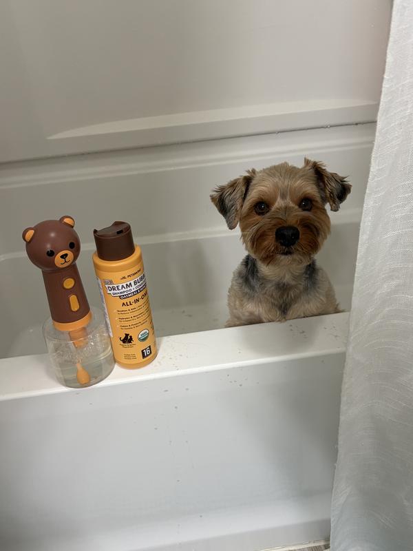 Bourbon Bear ready to shower