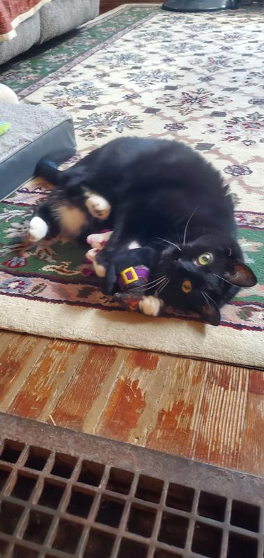 Frisco Halloween Witch Legs Kicker Cat Toy with Catnip
