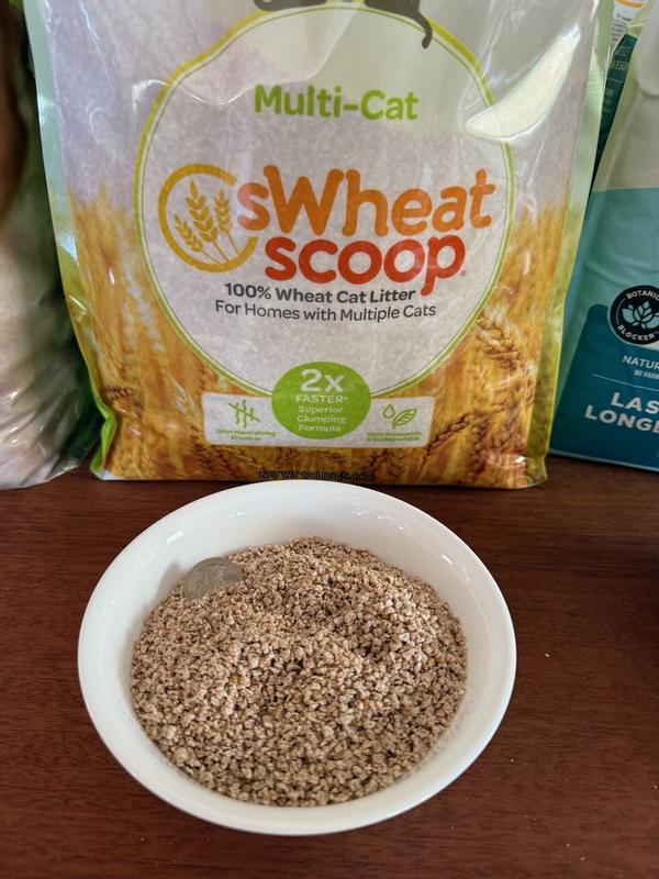 SWHEAT SCOOP Multi Cat Natural Clumping Wheat Cat Litter 14 lb bag Chewy