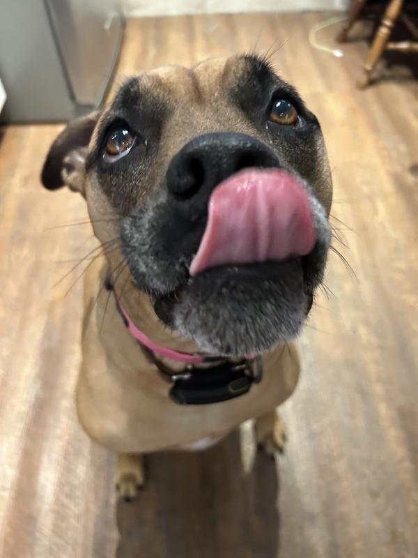 Not a "snug" fit, but didn't want it to be uncomfortably tight