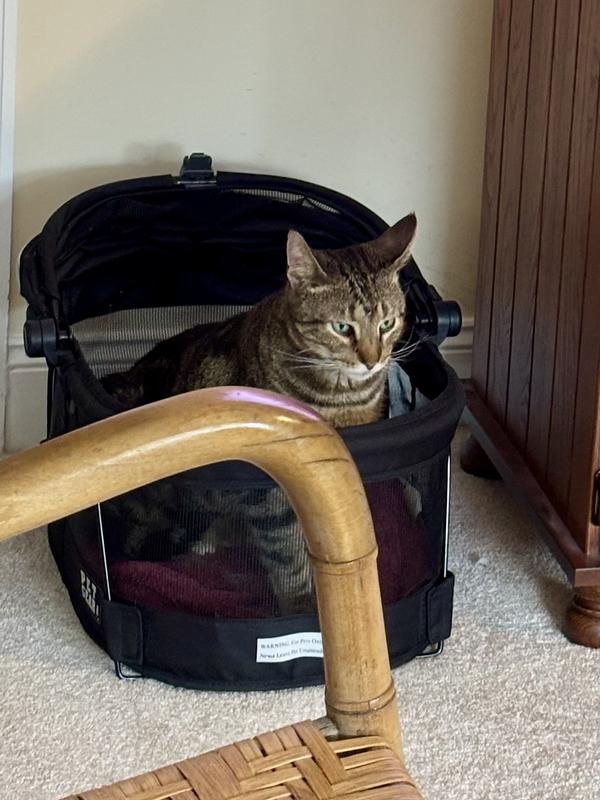 Carter tested and approved