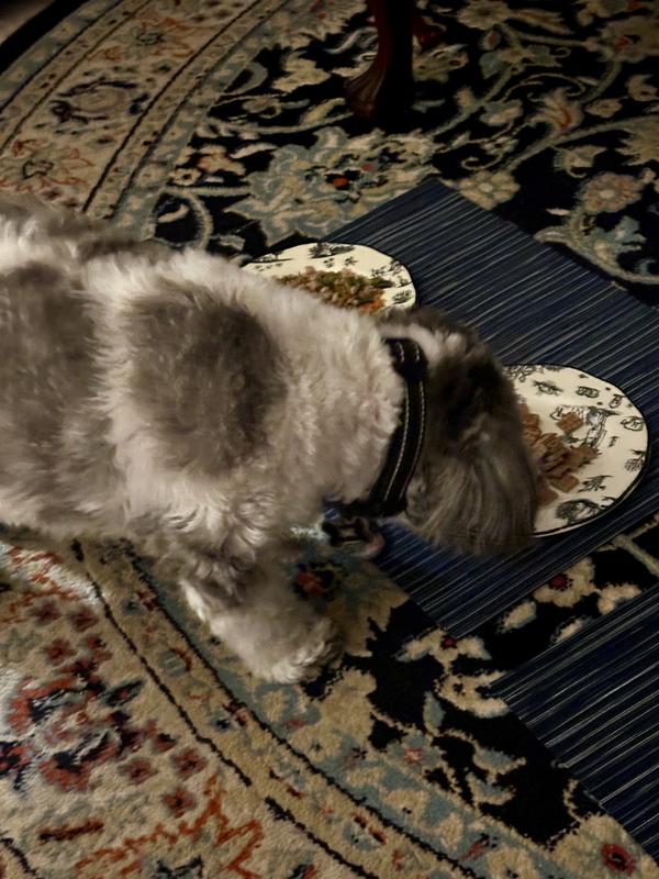 Chowing down on Zeal turkey