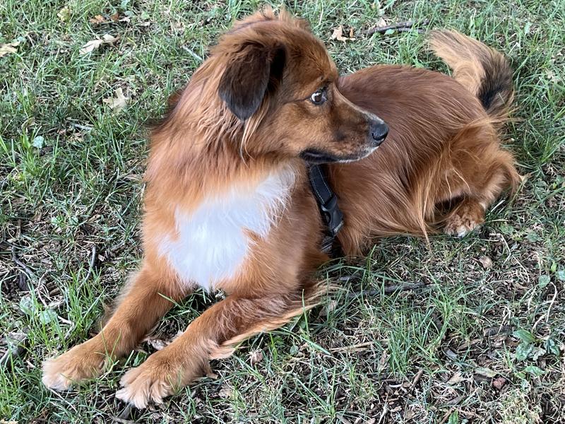 Always ready for action!