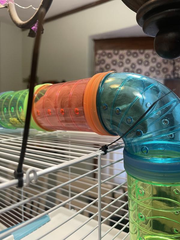 Asleep in the tube. He also has a big pile of food that he’s hidden up there, lol.