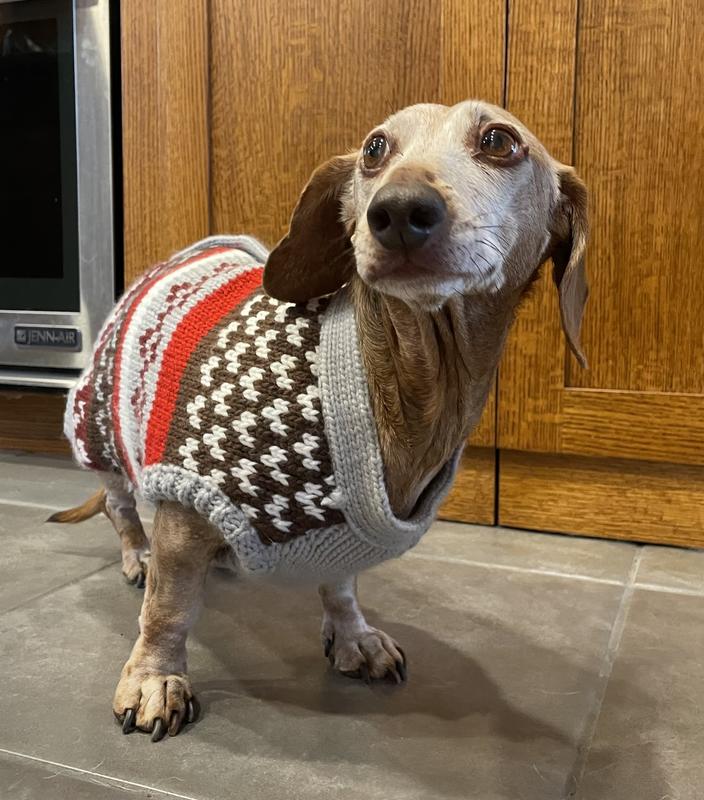 Frisco Chunky Knit Multi-Stripe Dog & Cat Sweater