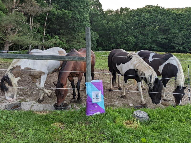 Great product that my herd loves!