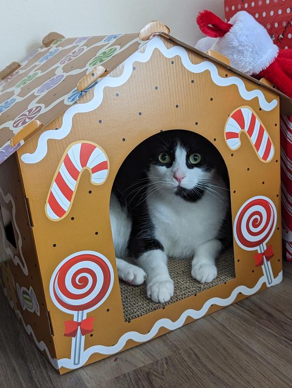 FRISCO Holiday Gingerbread Cardboard Cat House
