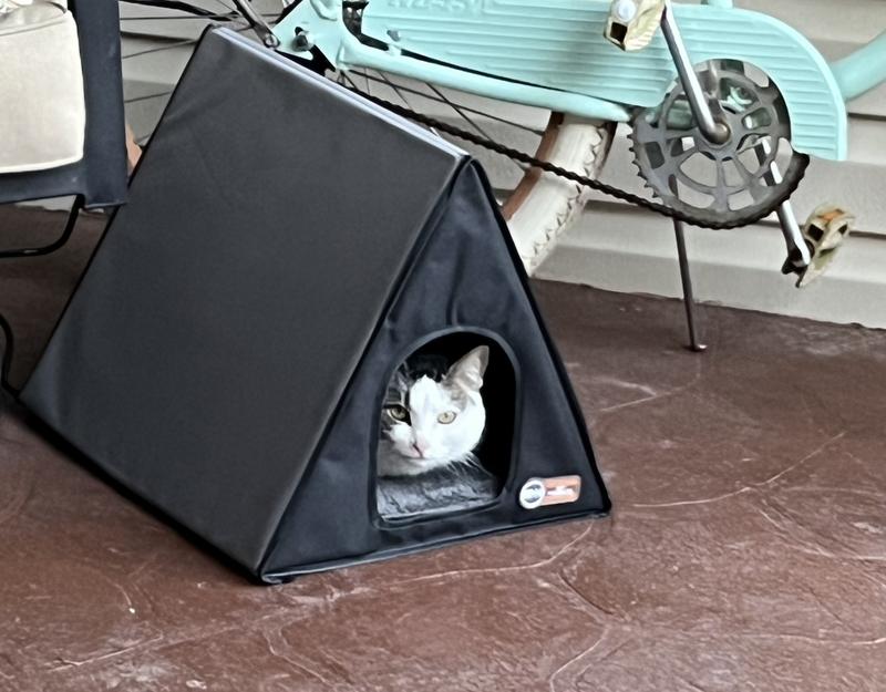 Heated a frame outlet cat house