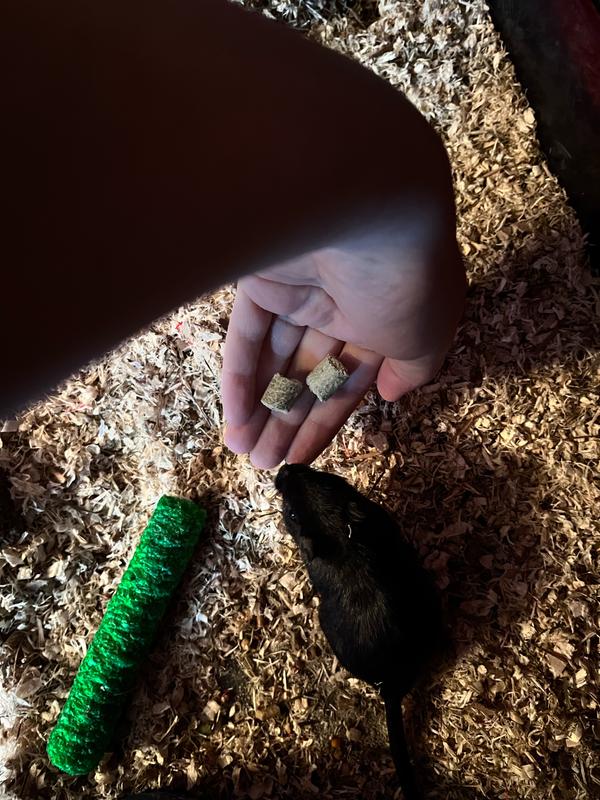 FIELD+FOREST BY KAYTEE Hamster & Gerbil Food, 2lb bag