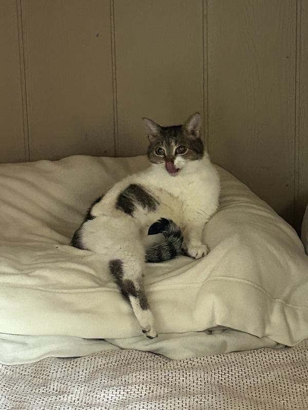 Delicious….just ate my food!