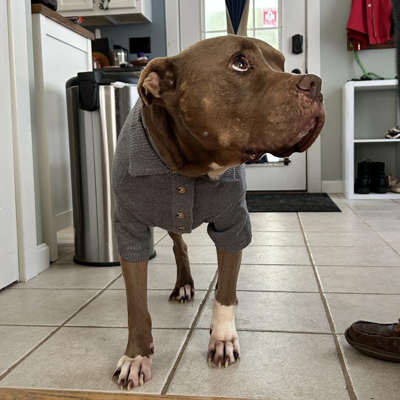 my old man ricky showing off his new grandpa sweater