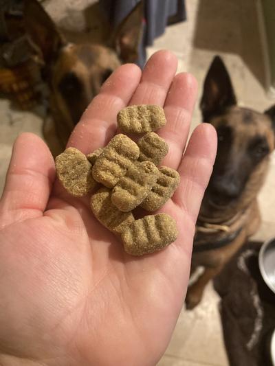 Just to show size. The pieces are not enormous. Just bigger for large breeds