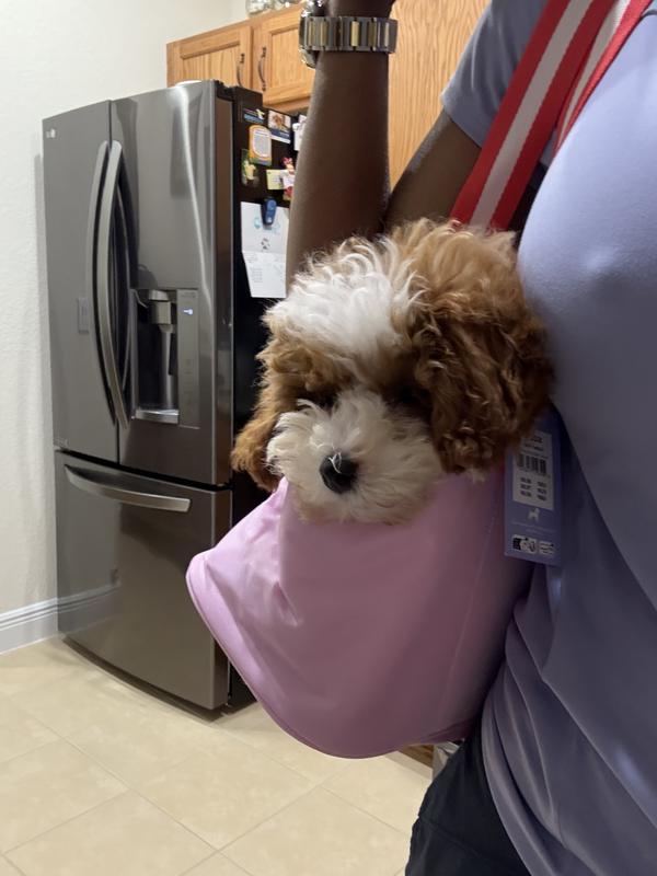 She’s loving her New bag 🩷