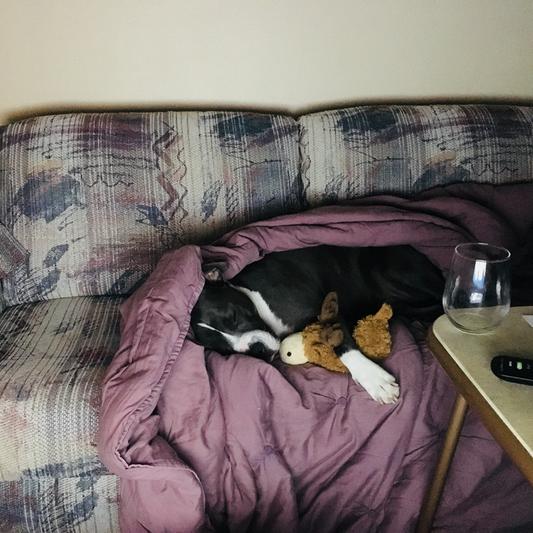 All tucked in for the night...