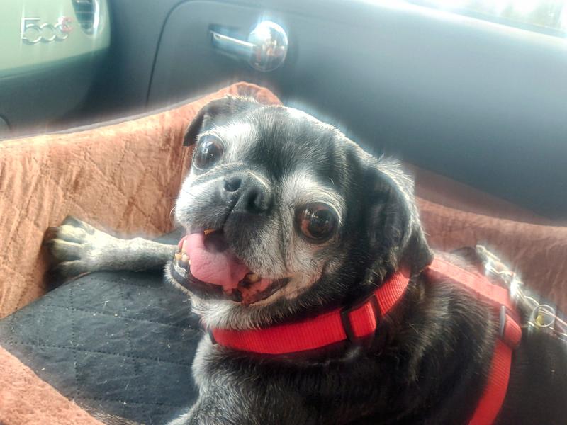 Thanks mom, let's go!!