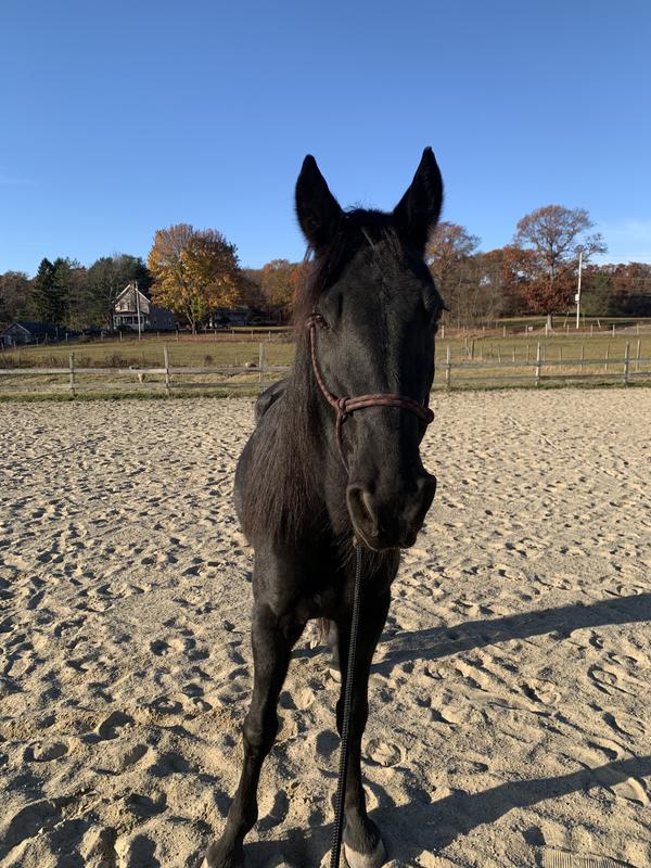 When he first came 10/27