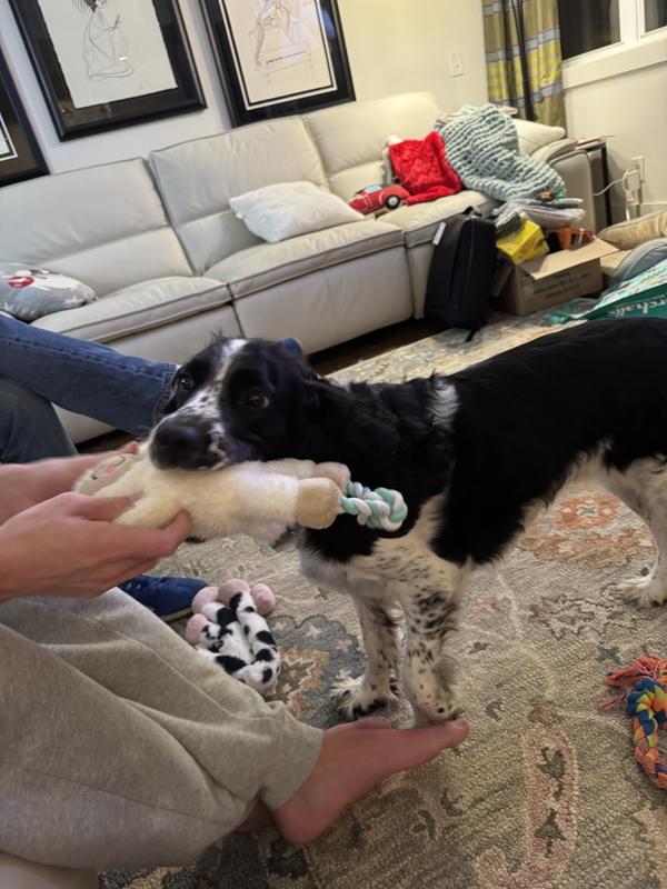 The only clear photo because she went crazy!