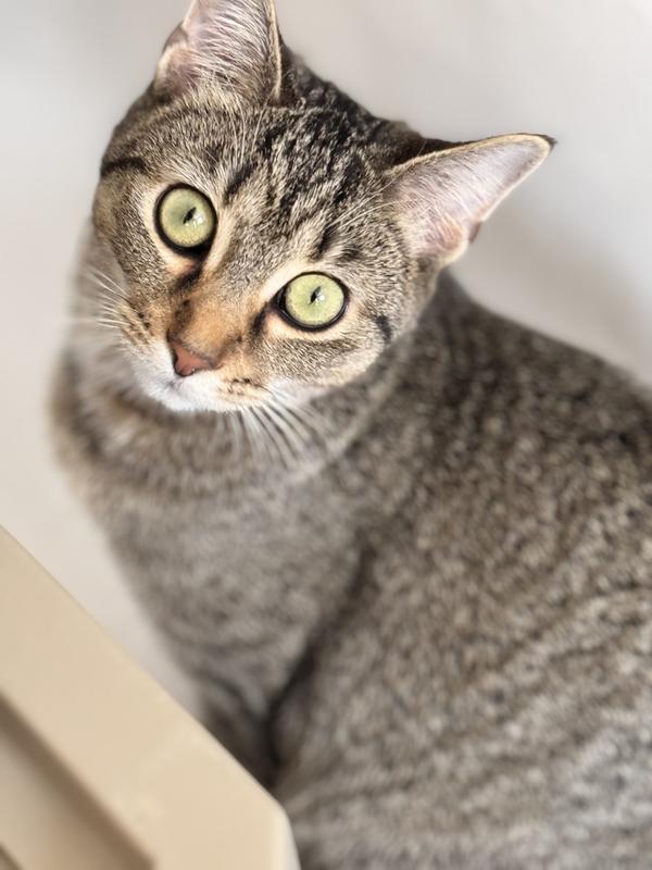 Picky Girl Approves!!