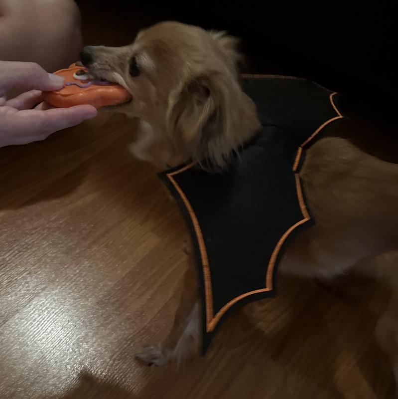 Minnie gets a Halloween treat!