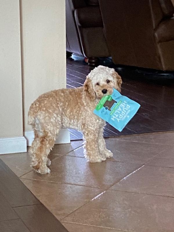 Tell mom to buy me more