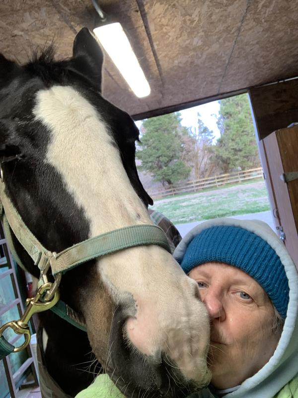 HYGAIN Zero UltraLow Starch & Cereal GrainFree Fully Fortified Horse