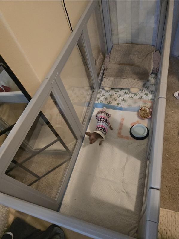 no problems thankfully.