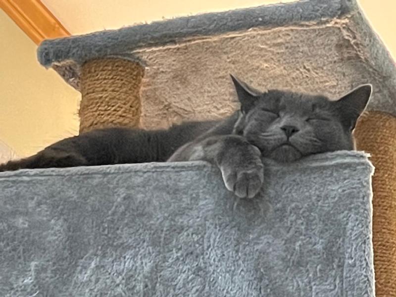 Stuffed and satisfied