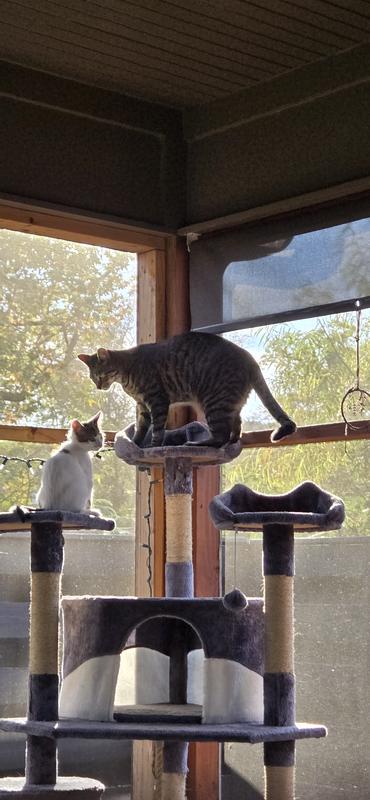 Big brother showing how it's done.