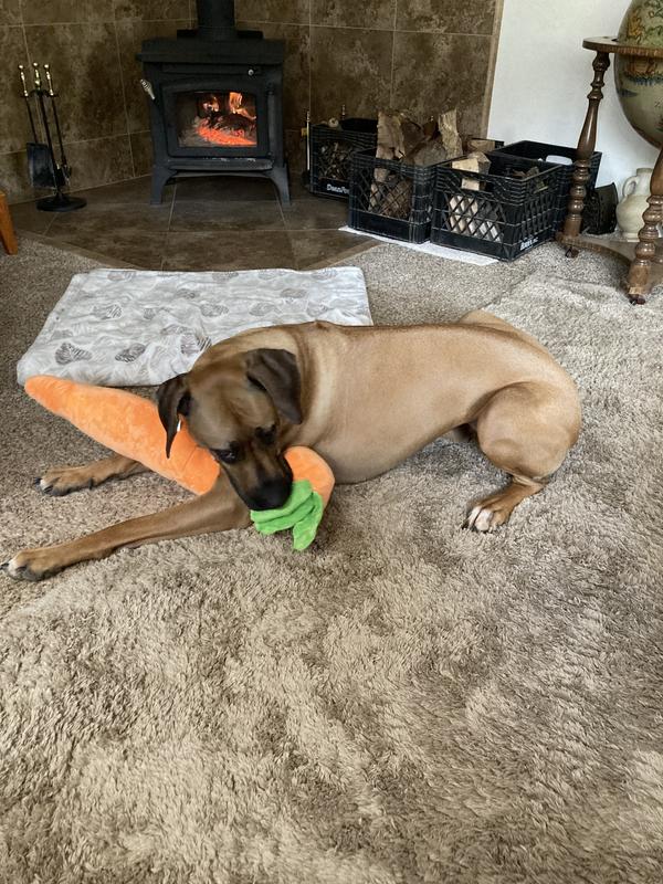 I think the photo speaks for itself.