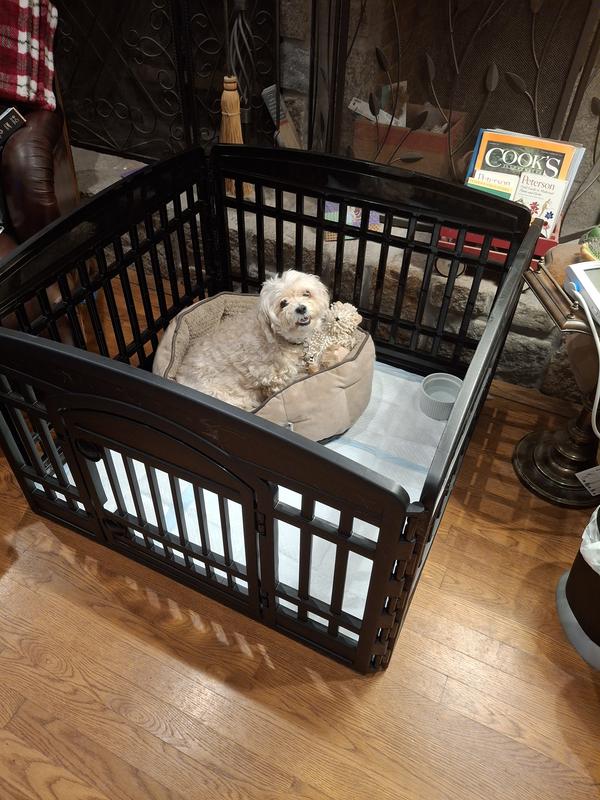 This is definitely going to make the next two weeks easier for all of us!