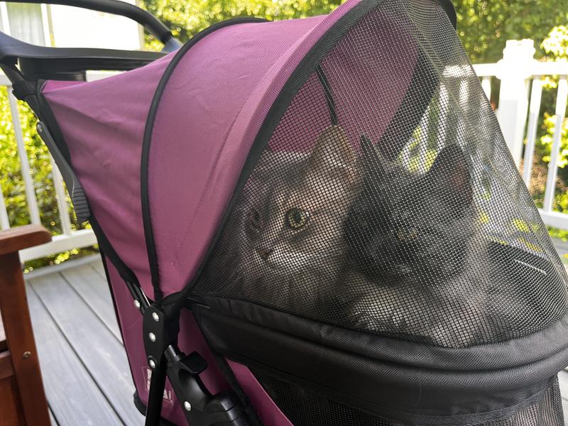 PET GEAR Happy Trails Lite NoZip Pet Stroller, Boysenberry