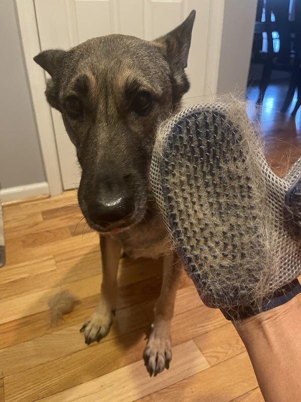 Stella loves her hair hand!